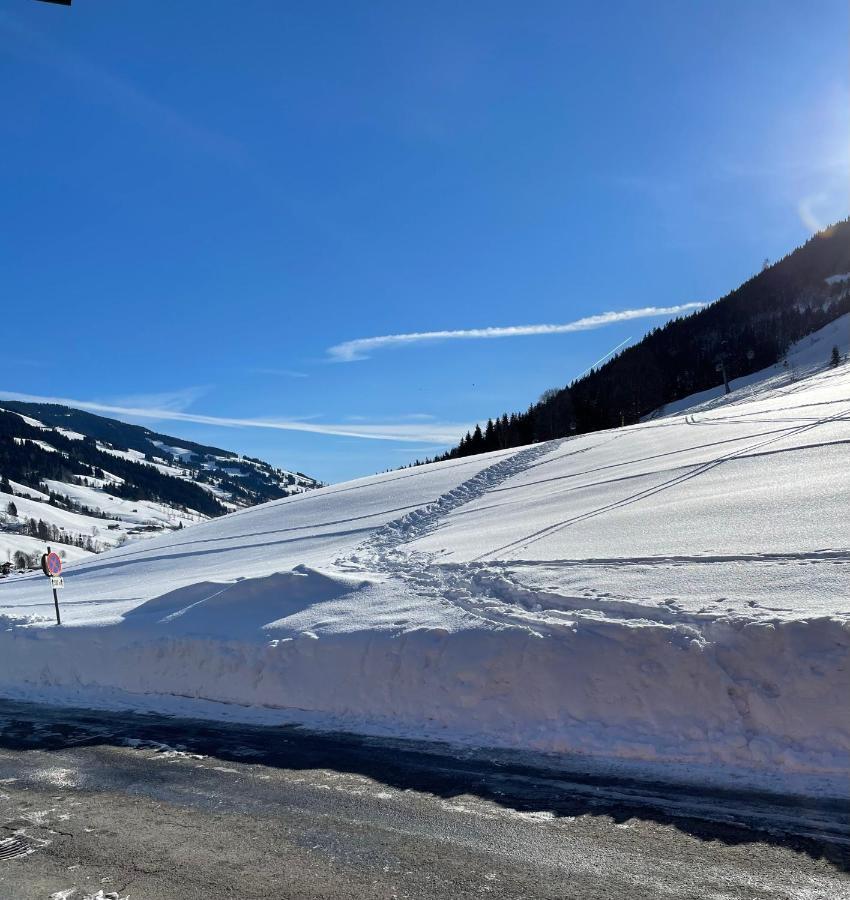 Hotel-Pension Schattberg ซาลบาคฮินเทอร์เกลมม์ ภายนอก รูปภาพ